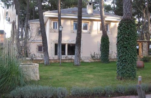 Jabaga House | Discover El Chalet del Pinar: 4-Star Oceanfront Retreat
