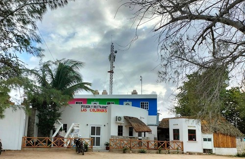 Rio Lagartos Apartment | Explore El Corazón de Las Coloradas in Yucatán, Mexico
