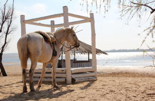 Ramallo Hotel | Relax at El Destino Posada Boutique with Oceanfront Views