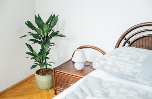 Neulerchenfeld Apartment | El Gao No13