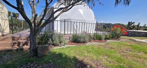 San Miguel Regla Other | Discover El Gato Glamping with Valley Views & Pet-Friendly Stay