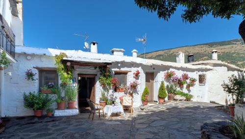 Capileira House | Discover El Gato Negro: Highly Rated Accommodations