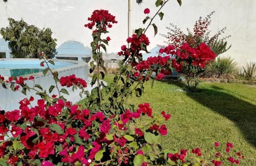 Santa Cruz de Cocachacra House | Discover El Huarique de Don Adolfo: Family and Pet Friendly