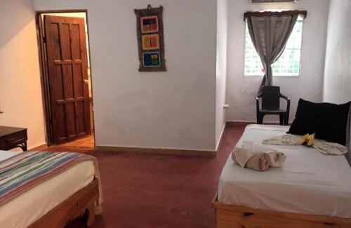 Las Galeras Hotel | El jardín del coco