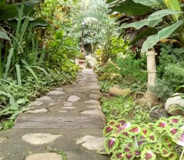 Calilegua Bed & Breakfast | Discover El Jardin Colonial: Poolside Relaxation Awaits