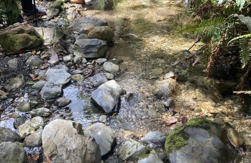 Gambita House | Pet-Friendly Retreat at El Mirador De Los Andes