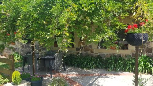 Lierganes House | Discover El Molino de Rucandio: Pet-Friendly Oceanfront Escape