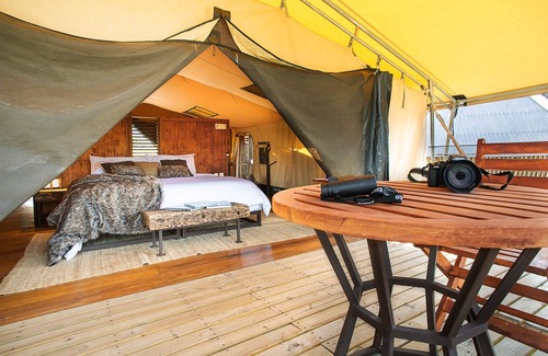 Villamaria Other | Experience Nature at El Nido del Cóndor Ecolodge