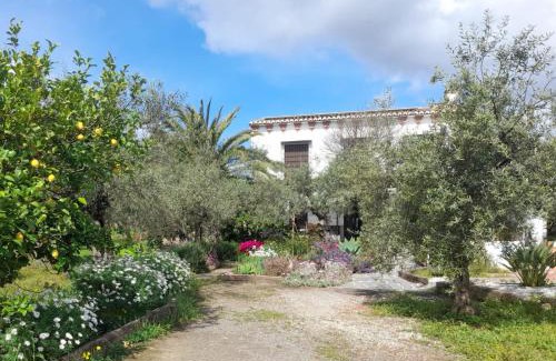 Alora House | Discover El Olivar de Concha: Guest Rated 9.5, Oceanfront Bliss