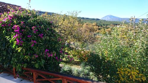 La Orotava House | Family-Friendly Stay at El Pajar de Inés with Breakfast