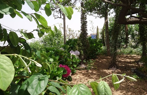 La Orotava Cottage | Discover El Pajar de Inés: Scenic Retreat by Mount Teide