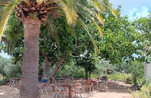 Brena y Marismas de Barbate Natural Park Hotel | Relax at El Palomar de la Breña: Poolside Pet-Friendly Escape