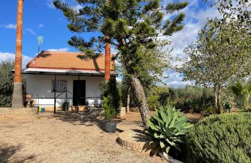 Bollullos de la Mitacion House | Discover El Paraíso del Olivar: Rated 8.2 by Guests
