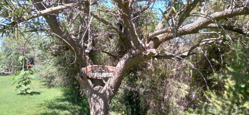 Carmen de Areco Apartment | Relax at El Paraiso de Carmen de Areco with Pool Access