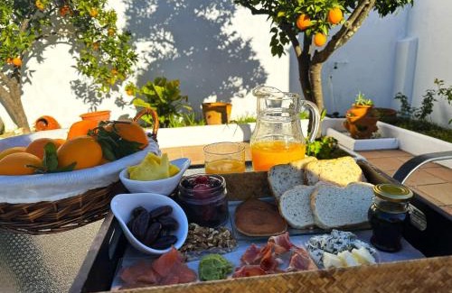 Guadalupe Apartment | Seaside Bliss at El Patio de los Naranjos, Rated 8.8/10