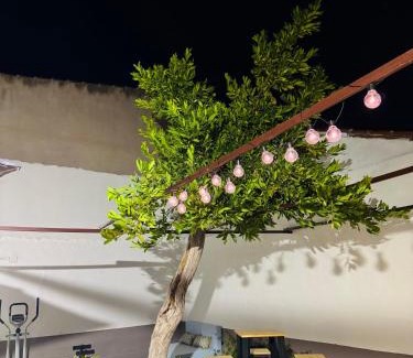 Polan House | El Patio de Polán