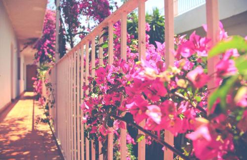Vilamaniscle Apartment | Discover El Penell Apartament Xaloc: Family-Friendly Retreat