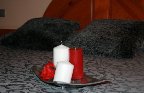 Benicarlo Hotel | Discover El Pinche de Oro: Pet-Friendly Retreat Awaits