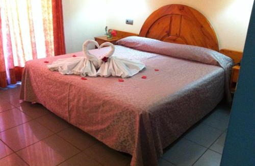 Benicarlo Hotel | Discover El Pinche de Oro: Pet-Friendly Retreat Awaits