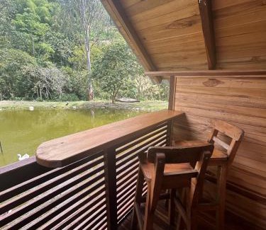 Ibague Other | El portal de Bariloche