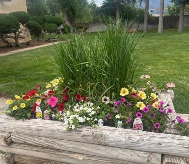 Taos Hotel | Pet-Friendly El Pueblo Lodge with Ocean Views & Hot Tub