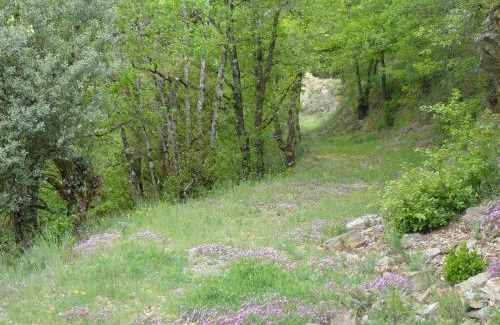 Castellbo House | Top-Rated El Raco de Cal Maro: Family-Friendly Retreat