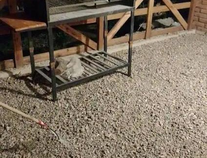 San Luis Apartment | Pet-Friendly El Refugio: Family Escape with Pool Access