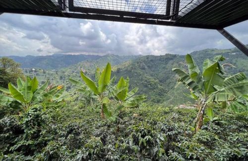Manizales House | Guest Rated 9.8: El refugio del Guayacán Awaits You