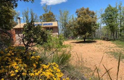 San Pablo de los Montes Ski Chalet | Experience El Refugio de San Pablo: Pet & Child Friendly Stay