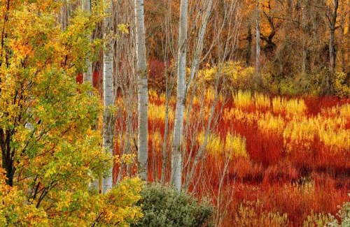 Cuenca Hotel | Discover El Rento Alojamiento Rural with Family-Friendly Perks