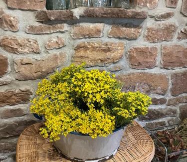 Branosera House | Pet-Friendly El Rincón de Golobar in Brañosera - Rated 9.3