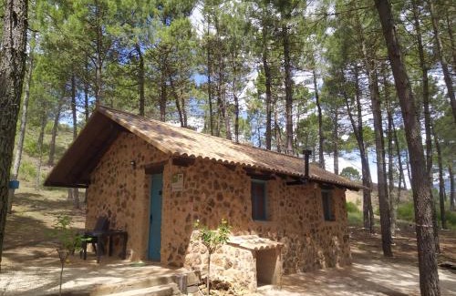 Riopar House | Discover El Rincón de María: Oceanfront Pet-Friendly Escape