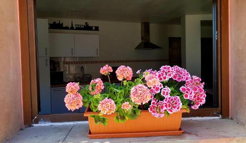 Gea de Albarracin Apartment | Romantic Getaway at El Rodeno de Gea - Pet Friendly Retreat