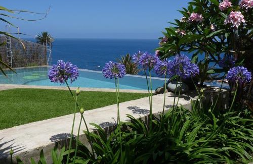 Las Aguas Villa | Oceanfront El Susurro Ecoliving with Pool and Ocean Views