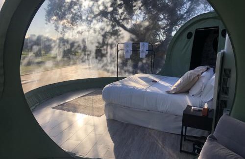Velada Other | Experience El Toril Glamping: Oceanfront Retreat Awaits