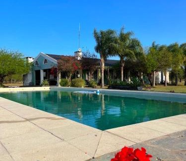 Esquina House | El viejo lobo