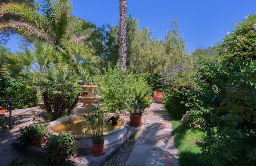Lido di Capoliveri Apartment | Pet-Friendly Elbaloves Apartments with Pool & Ocean View