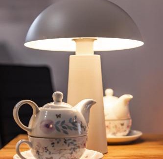 Elblag Apartment | Pet-Friendly Elbląg Stare Miasto Bulvar Apartament SNAKE