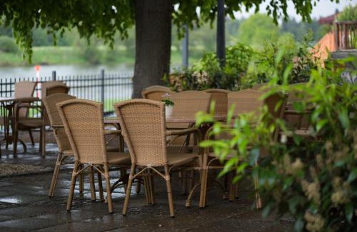 Wachwitz Hotel | Discover Elbterrasse Wachwitz: Pet-Friendly Retreat