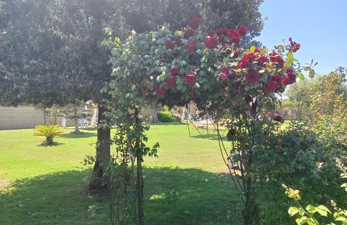 Ladispoli Bed & Breakfast | Elegance B&B: Oceanfront Retreat with Pool & Hot Tub