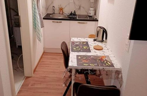 Alt-Wiedikon Apartment | Elegant Studio fully furnished apartment! @Zürich 4