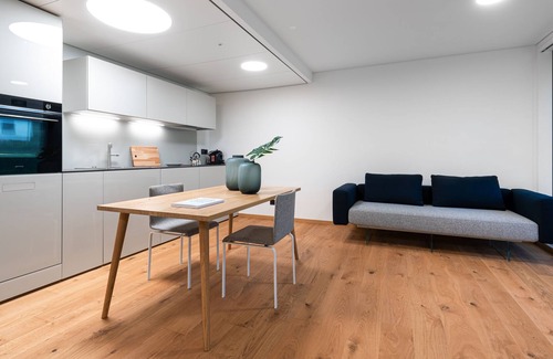 Stabio Apartment | Elegant stylish apartment in a new modern complex.