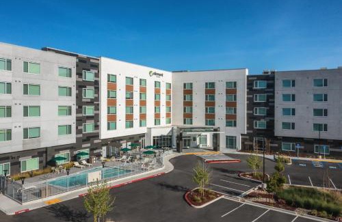 Milpitas Hotel | Inviting Element San Jose Milpitas - Pet Friendly & Pool Access
