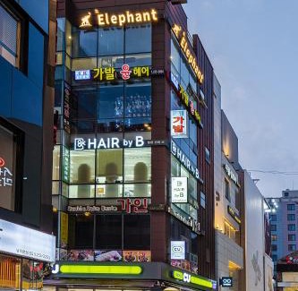 Jung-gu Apartment | Oceanfront Elephant Hotel: Family-Friendly 4-Star Retreat
