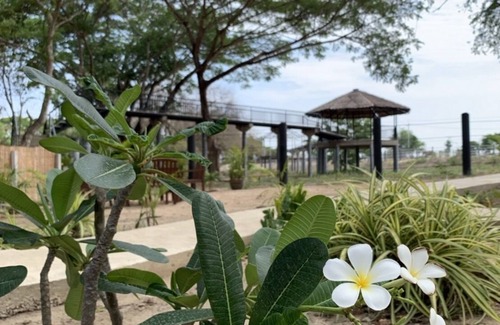 Tha Yang Resort | Experience Nature at Elephant View Camp with Private Pool