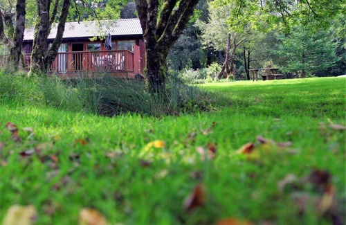 Taynuilt Cabin | Scenic Loch View Cabin with Hot Tub and WiFi