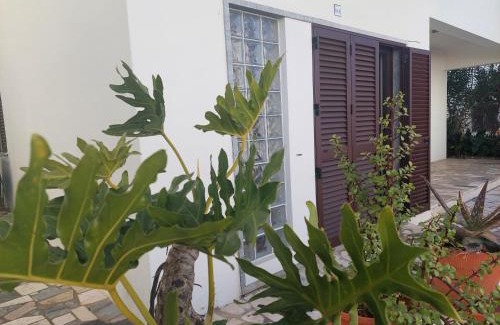 Mertola Apartment | Pet-Friendly ELEVEN -A- SUITE tipo T1 for Family Getaways
