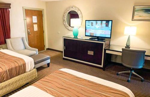 Emporia Hotel | Discover Eleven Boutique Hotel: Pet Friendly & Family Fun