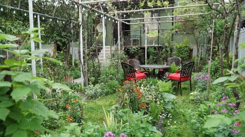 Kutaisi House | Discover Eleven Guest House: Rated 9.7, Pet-Friendly Retreat