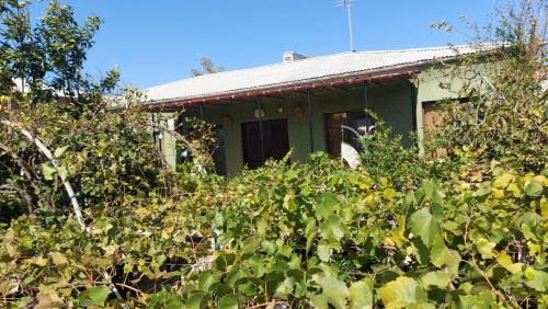 Kutaisi House | Discover Eleven Guest House: Rated 9.7, Pet-Friendly Retreat